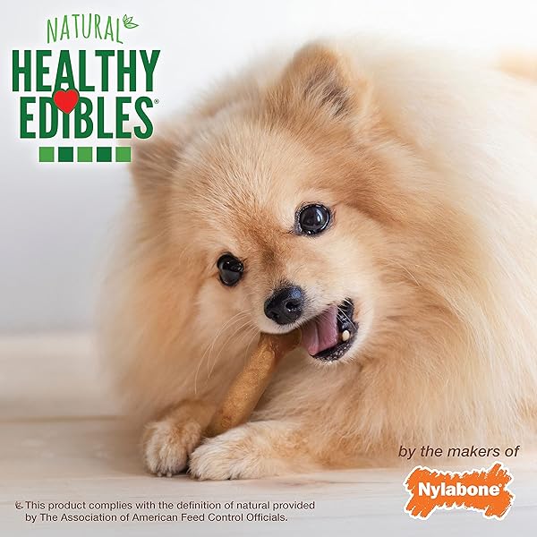 NYLABONE HEALTHY EDIBLES NATURAL DOG CHEWS LONG LASTING BACON FLAVOR TREATS FOR DOGS, X-SMALL/PETITE (8 COUNT)