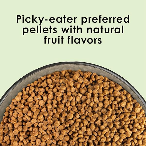 KAYTEE NUTRI SOFT PET PARROT & CONURE BIRD FOOD, 3 POUND