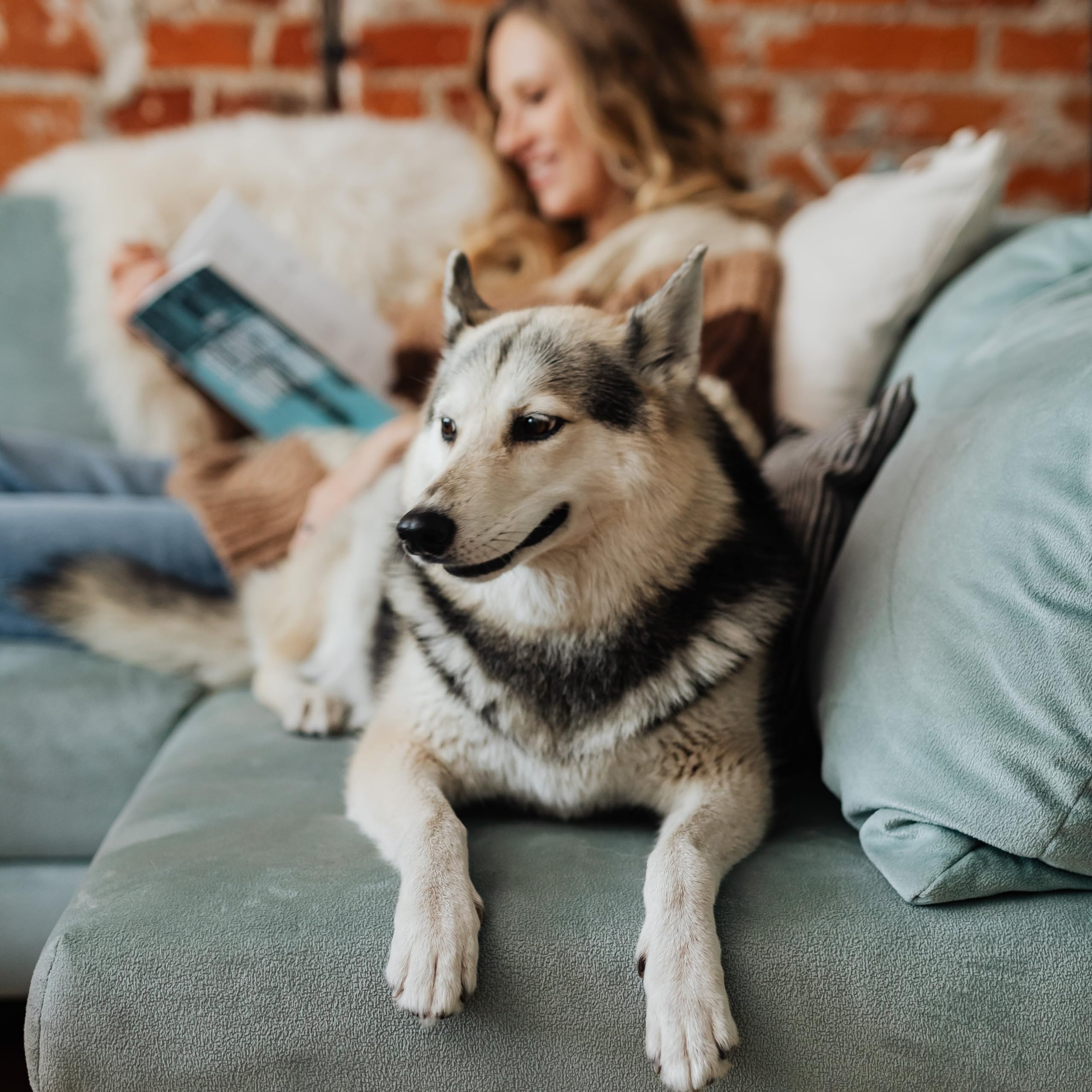 Mua Kirkland AllerFlo Fluticasone Propionate (Glucocorticoid) 50 mcg