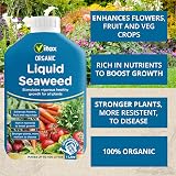 Vitax Organic Liquid Seaweed Concentrate 1L for Plants Flowers Fruit Vegetables view 4