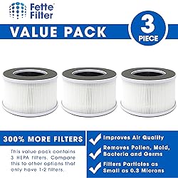 Fette Filter- Air Purifier Filter Compatible with