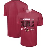 FOCO NFL Men's Officially Licensed Football Team Logo Wordmark Distressed Performance Team Color Crewneck T-Shirt