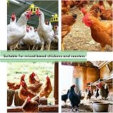 OHYER 50pk Chicken Glasses Pheasant Pinless Peepers Poultry Blinder Anti Peck view 5