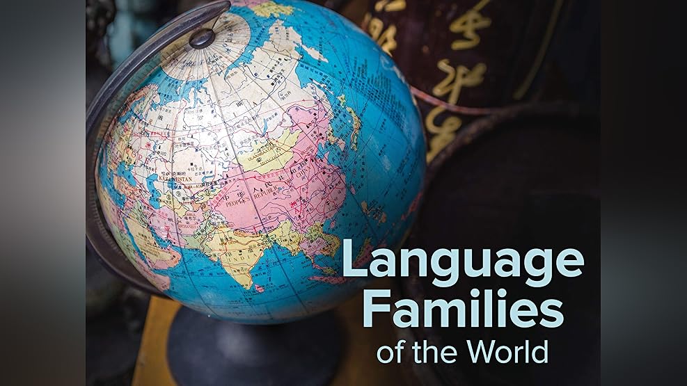 Watch Introduction To Paleontology Prime Video