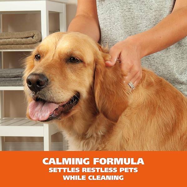 WAHL USA PET FRIENDLY WATERLESS NO RINSE SHAMPOO FOR ANIMALS – LAVENDER & CHAMOMILE FOR CLEANING, CONDITIONING, DETANGLING, & MOISTURIZING DOGS & CATS – 7.1 OZ – MODEL 820014A