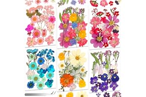 120 PCS Real Pressed Flowers, Natural Dried Pressed Flowers for Resin, Dried Florals Dry Flowers Leaves Kit with Tweezers for