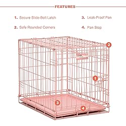 MidWest Homes for Pets Newly Enhanced Single
