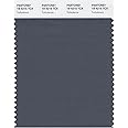 Pantone 19-4215 TCX Smart Color Swatch Card, Turbulence