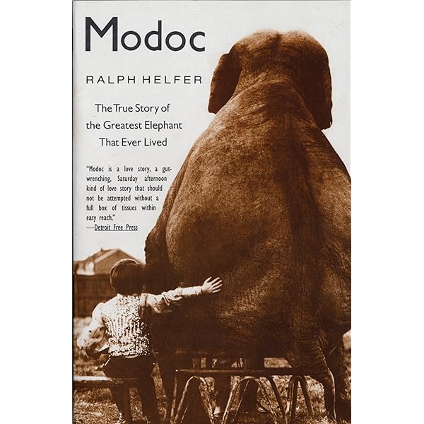 When Elephants Weep: The Emotional Lives Of Animals – Jeffrey Masson (Paperback)