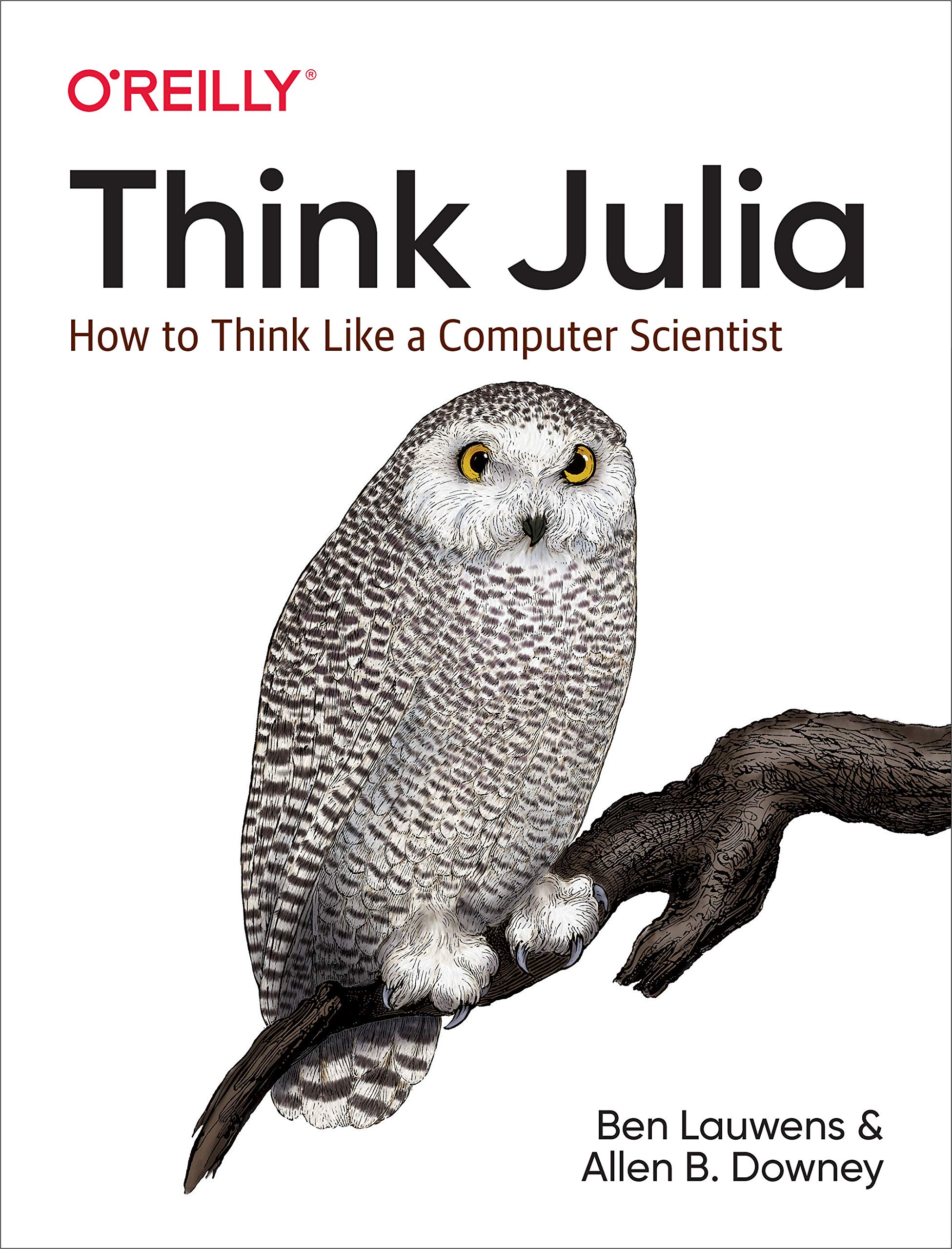 Books,Computers & Technology,Programming Think Julia: How to Think Like a Computer Scientist Ben Lauwens