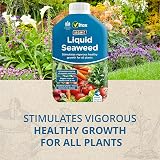 Vitax Organic Liquid Seaweed Concentrate 500ml for Plants Flowers Fruit Veg view 3