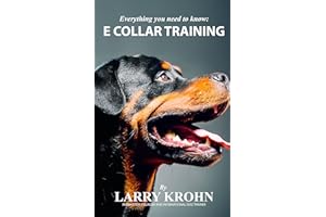 Everything you need to know about E Collar Training