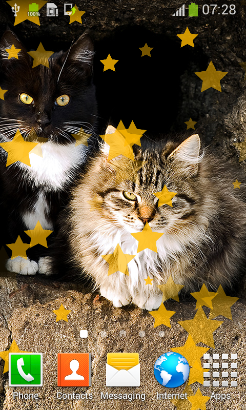 猫ライブ壁紙 Amazon Co Jp Appstore For Android