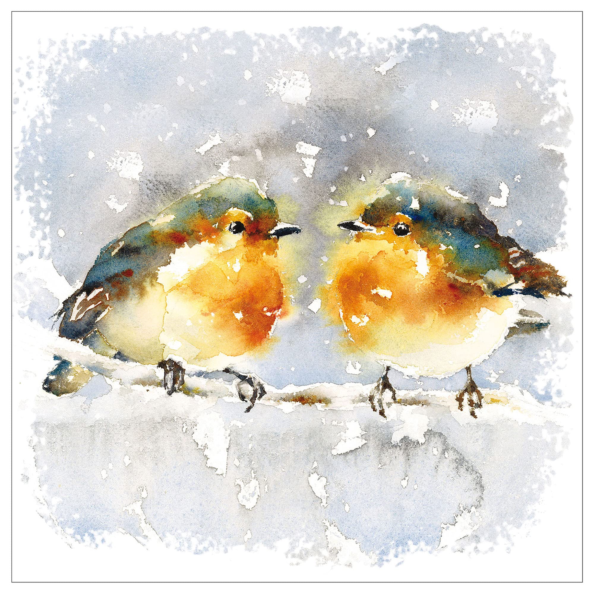 Christmas cards pack - Robins on branch, 10 Christmas cards 2025 with 10 white envelopes - Designed, printed and hand-packed in the UK, by Just Cards Direct
