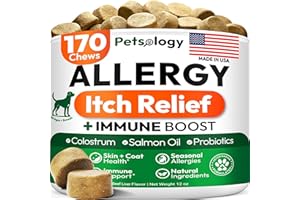 PETSOLOGY Dog Allergy Relief Chews - 170 Dog Allergy Chews - Itch Relief for Dogs - Omega 3 Fish Oil, Probiotics For Itchy Skin & Hot Spots Allergies, Paw Licking, Dry Skin & Coat Supplement - Beef Liver Flavor