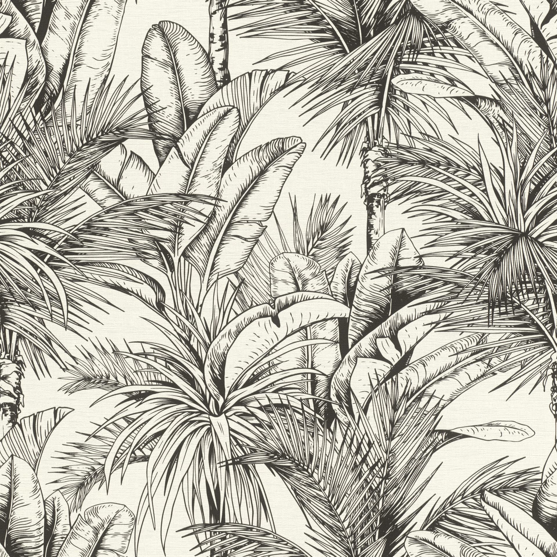 Rasch paperhangings Non Woven Wallpaper (Botanical) Black White 10,05 m x 0,53 m Selection Vinyl/Vlies 478013