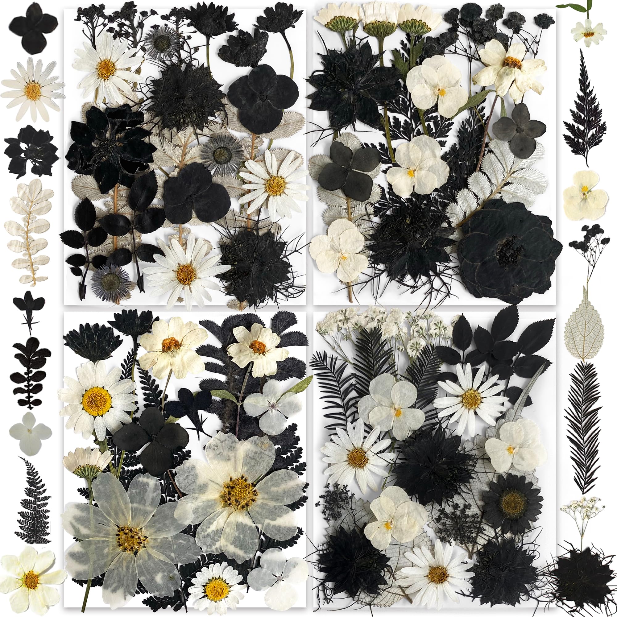 131PCS Black White Dried Pressed Flowers with Butterfly Stickers - YouthBro Real Nature Flowers Craft Set for Craft Resin DIY Jewelry Candle Soap Making Nail Card Scrapbook Art Floral Decors