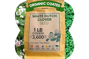 Flawn Seed Kits White Dutch Clover Seed, 1 Lb, Organic Coated, Natural Lawn, Ground Cover, Hunting Food Plot, Covers up to 3,600 Sqft