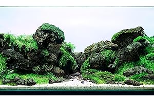 LANDEN Black Icelandic Lava Stone Natural Rocks (18lbs, 3~11 inches,11pcs) for Aquariums, Paludariums, Terrariums, Caves and Rocky Peaks, Mountainous Desert Landscapes