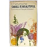 Small is Beautiful: Economics as if People Mattered