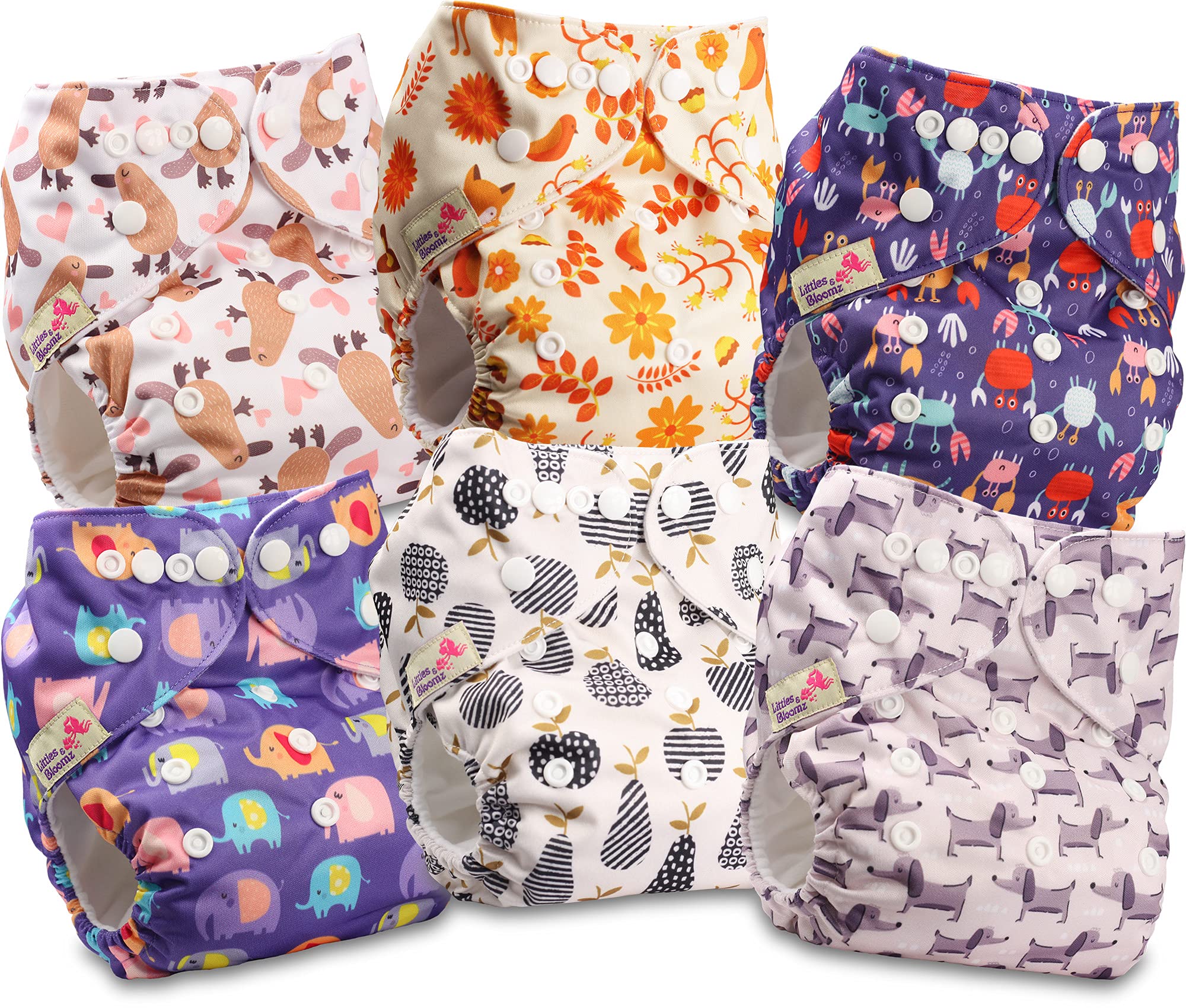 Littles and Bloomz Baby Reusable Pocket Nappy Cloth Diaper, Standard Popper, 6 Nappies, FLP2-0602