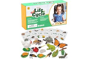 GLINGLONG Life Cycle Science Kit Montessori Realistic Figurine, Kids Animal Matching Game with Frog, Ladybug and More Includes 24-Piece, Fun Learning Education Toys Stocking Stuffers for Children 3 4 5 6 7 8