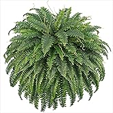 Richeerca Fake Ferns, 50IN Single Realistic Large Faux Plants with 96 Fronds, Artificial Boston Ferns for Outdoors Home DIY Plant Wall Garden Porch Entrance Decor