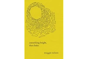 Something Bright, Then Holes: Poems