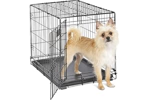 MidWest Homes for Pets 24-Inch iCrate Folding Dog Crate with Divider Panel, Leak-Proof Tray & Secure Latches – Metal Wire Kennel for Small Breeds – Portable, Durable & Easy to Assemble