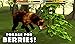 Wildlife Simulator: Bear