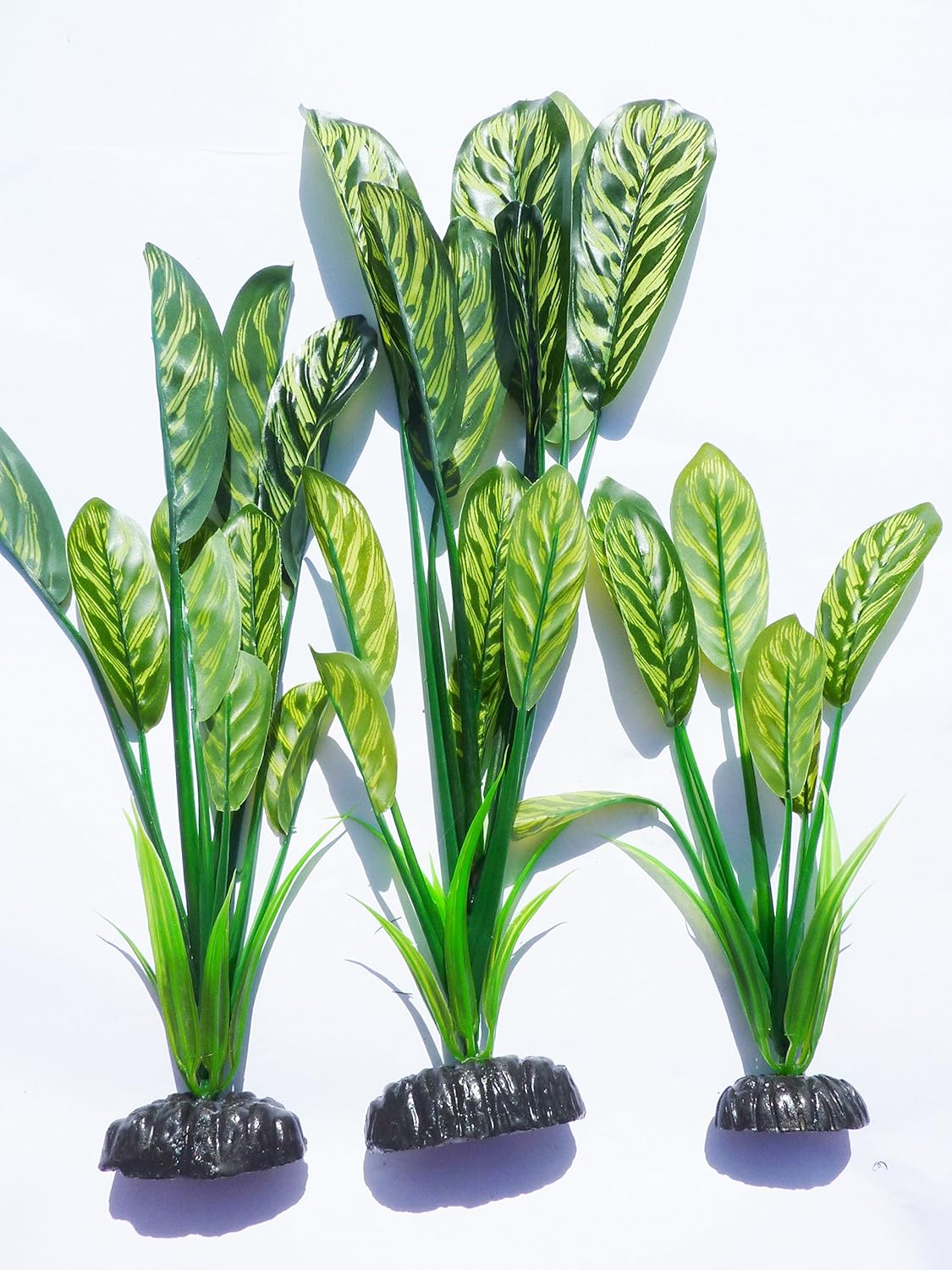 impianto di seta per acquario