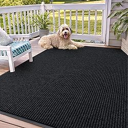 OLANLY Front Door Mat Indoor Outdoor