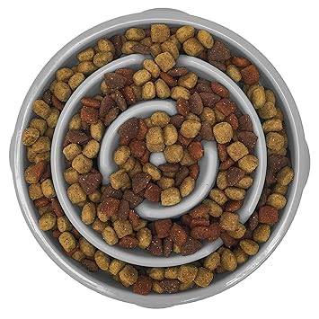 Animal Planet Slow Feed Maze Feeder Pet Bowl For Dogs Cats