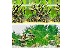 XCNO Aquarium Background Reptile Habitat Terrarium Background Plant Fish Tank Stickers Wallpaper Decorations