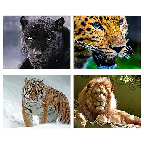 big beautiful cats