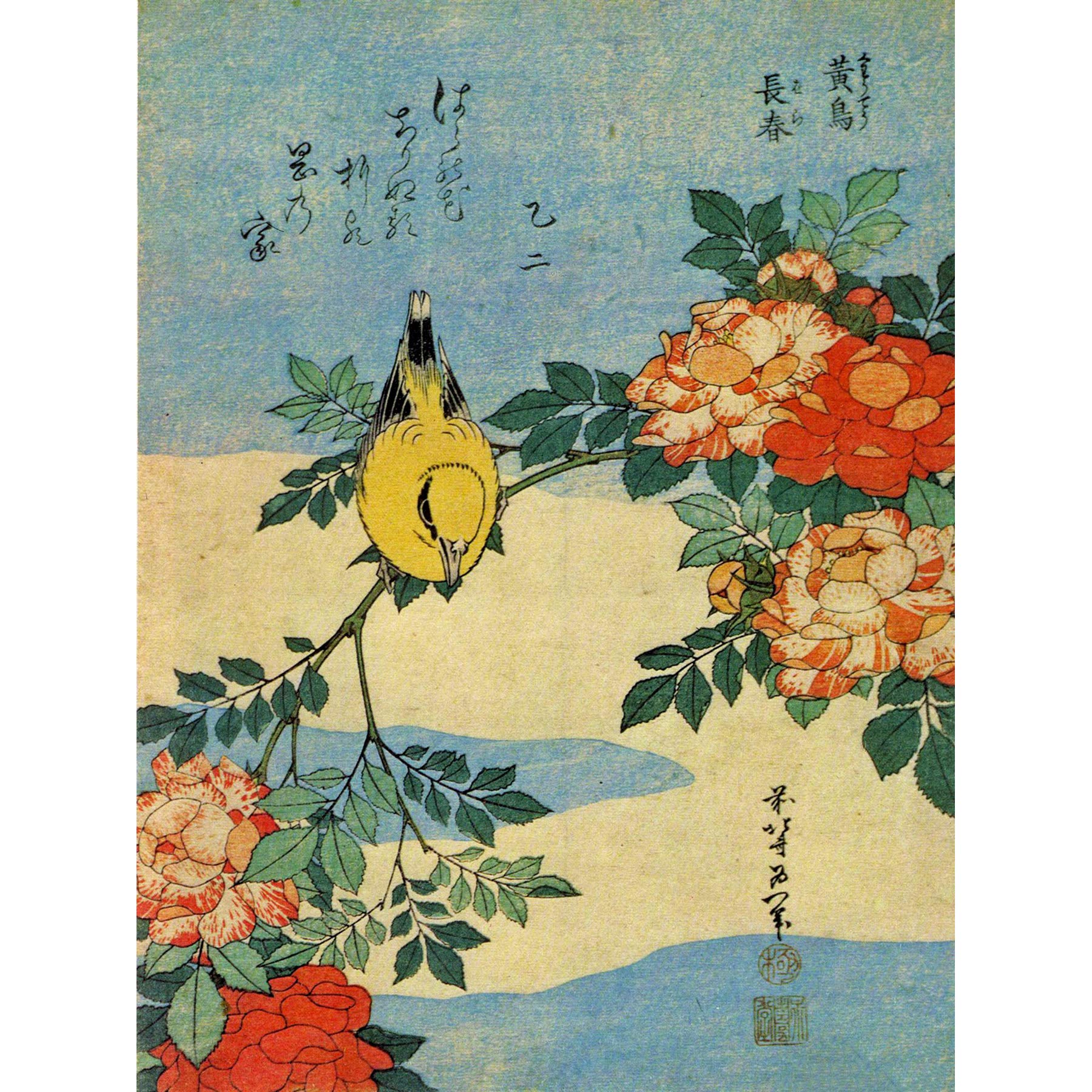 Wee Blue Coo Painting Animals Bird Yellow Finch Flowers Japanese Japan Canvas Print