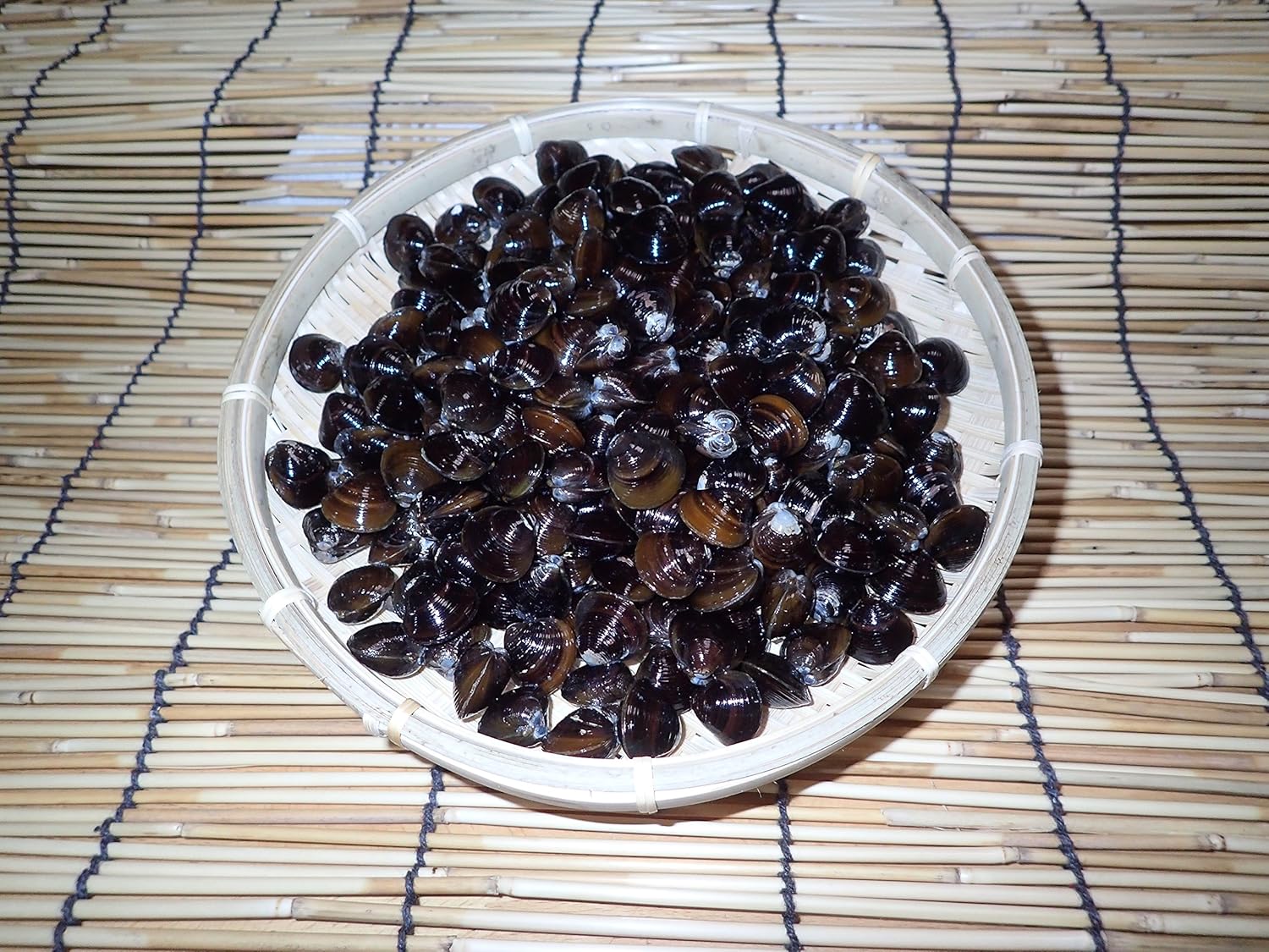 Amazon 島根 宍道湖産 しじみ 2kg 業務用 大袋 2kg 1p 宇和海の幸問屋 宇和海の幸問屋 貝類 通販