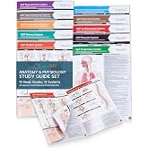 TribeRN Anatomy &amp; Physiology Study Guides - Set of 10 Human Anatomy Guides for Nursing Students, School, College, Medical Professions - 12 Topics on Body Systems w/ Reference Charts &amp; Terminology