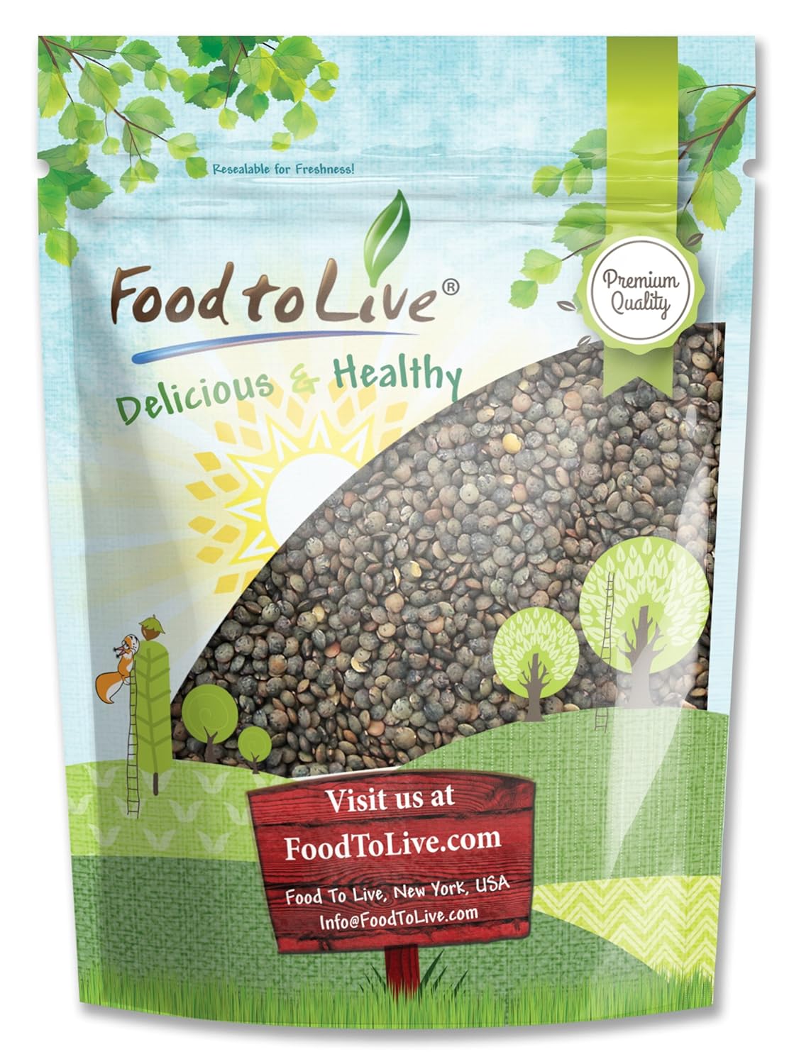 French Green Lentils, 8 Ounces - Whole Dry Beans, Raw, Kosher, Sproutable, Bulk
