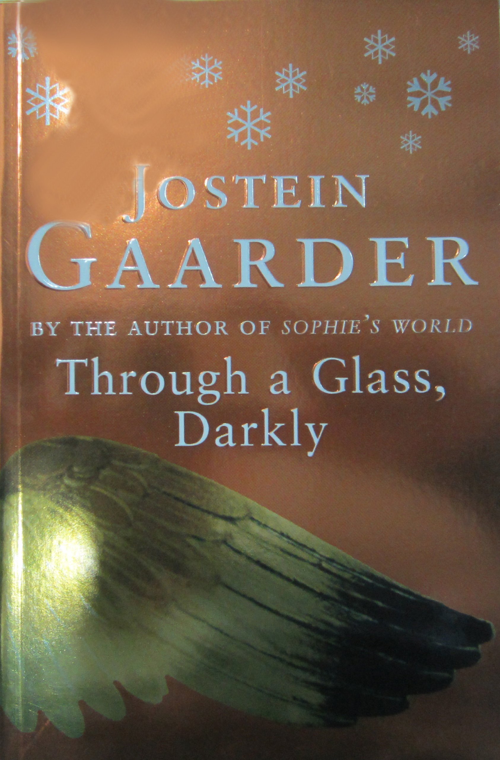 Through A Glass Darkly Gaarder Jostein 9780753806739 Amazon Com Books