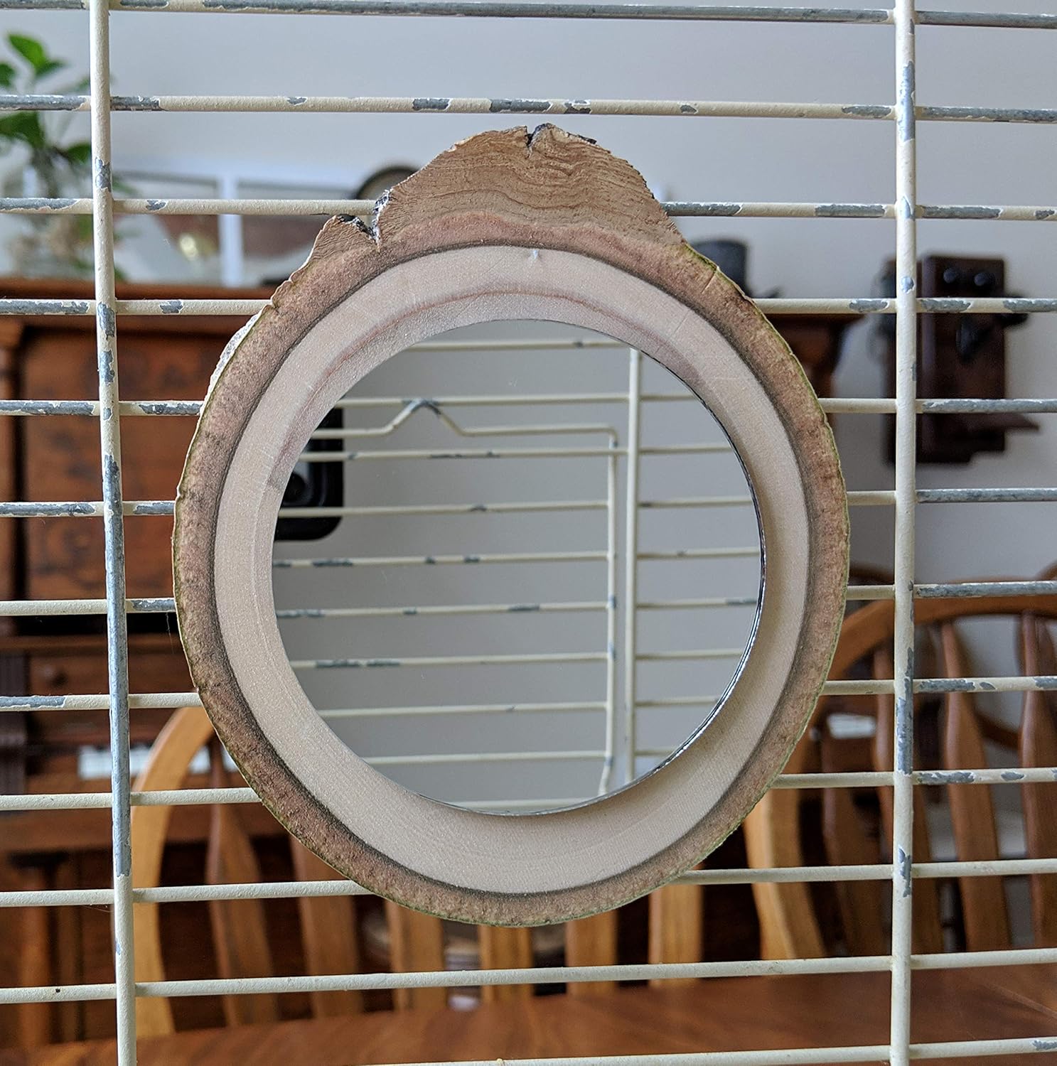 Bird Mirrors