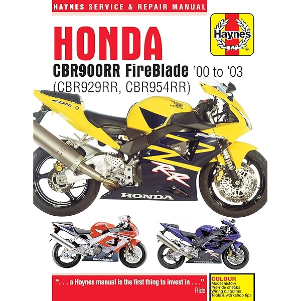 趣味・スポーツ・実用 EVOLUTION MAINTENANCE BOOK 91RWmUhmYwL._AC_UF350,