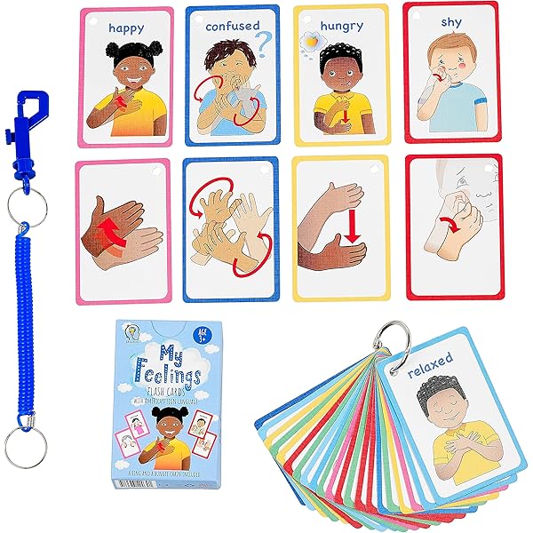 250 sign language and real life Communication pictures cards ,Icons
