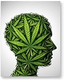 Pot Head Poster Print - (11 inches x 14 inches) Glossy Marijuana Cannabis Wall Art Decor