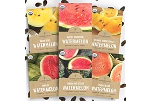 SWEET YARDS Organic Watermelon Seeds Variety Pack - 6 Individual Packs - 2026 Season - Sugar Baby, Orange Tendersweet, Jubilee and More! for Indoor & Outdoor Planting (Non-GMO, Certified Organic)