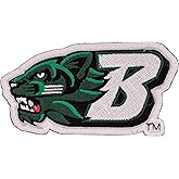 Desert Cactus Binghamton University Patch – Embroidered Iron On/Sew On Applique for Blazers, Jackets, Backpacks, Bags, Hats & Tactical Gear – Binghamton Bearcats (Patch - Design A)