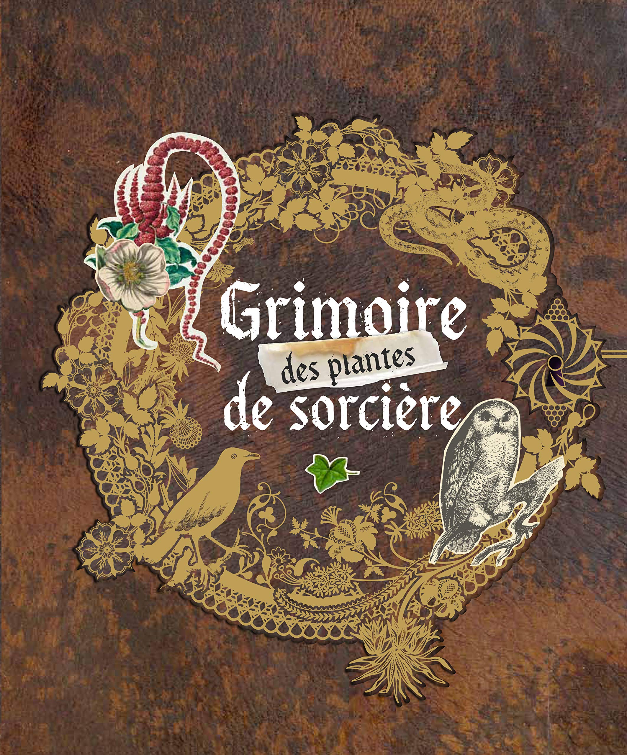 Grimoire Des Plantes De Sorcière Erika Laïs 9782815303736 - 
