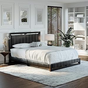 Boyd Sleep Beaumont Upholstered Platform Bed with Headboard and Durable Mattress Foundation with Strong 14 Wood Slat Supports, No BoxSpring Required: Queen, Black