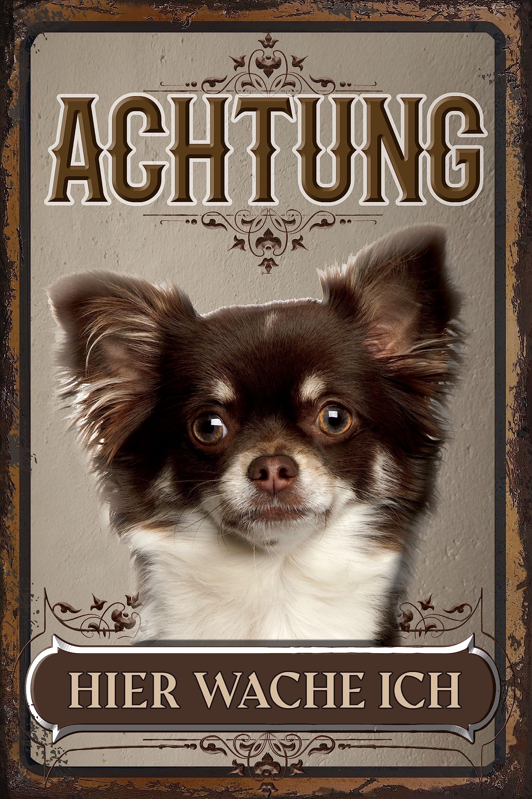 Weatherproof Sturdy Dog Sign for Outdoor Use Warning Here I Watch I! Dog Decorative Aluminium Dibond Sign Weatherproof 30 x 20 cm Chihuahua Langhaar