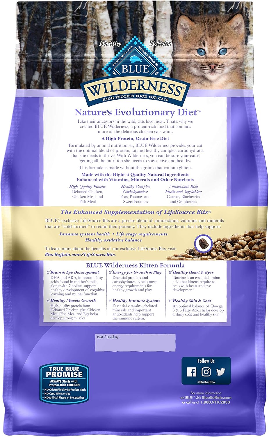 blue buffalo kitten dry food